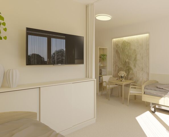 Domov se zvláštním režimem (DZR)